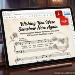 Wishing You Were Somehow Here Again PDF